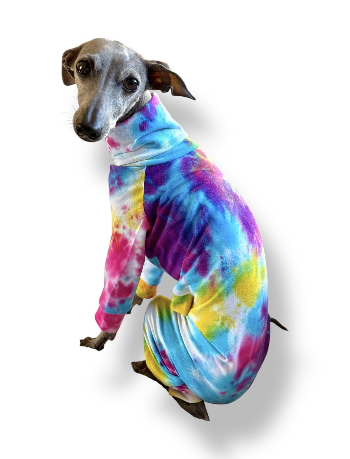 Jersey Suit - Rainbow Tie Dye - Pet Supplier Store