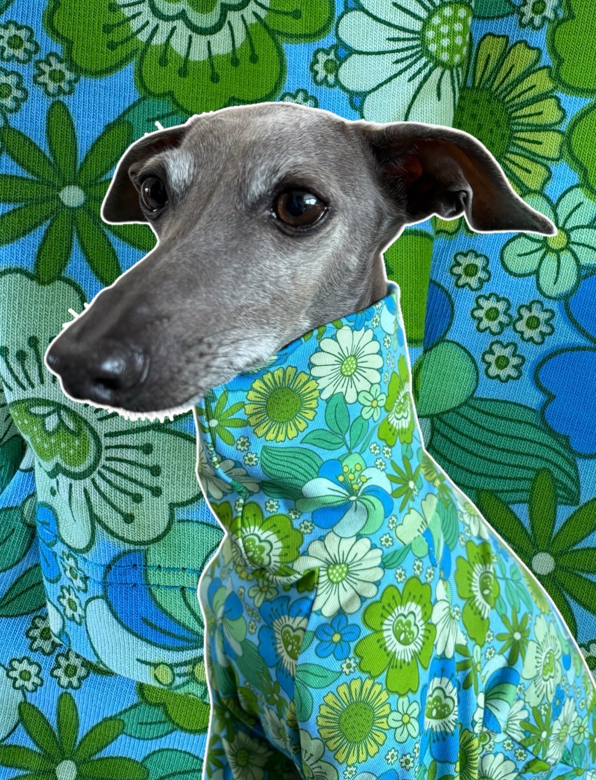 Jersey T-Shirt- Retro Floral - Green - Pet Supplier Store