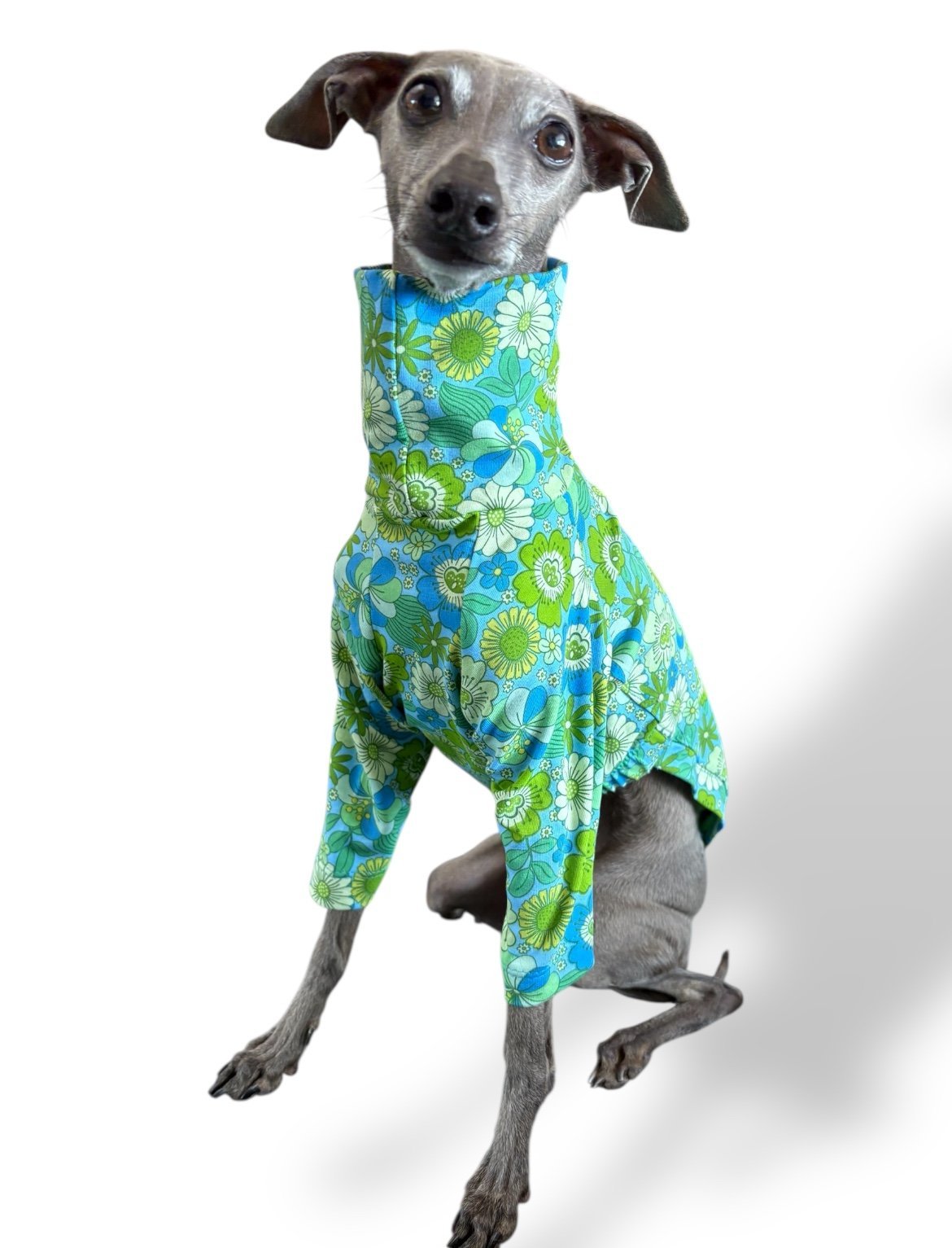 Jersey T-Shirt- Retro Floral - Green - Pet Supplier Store