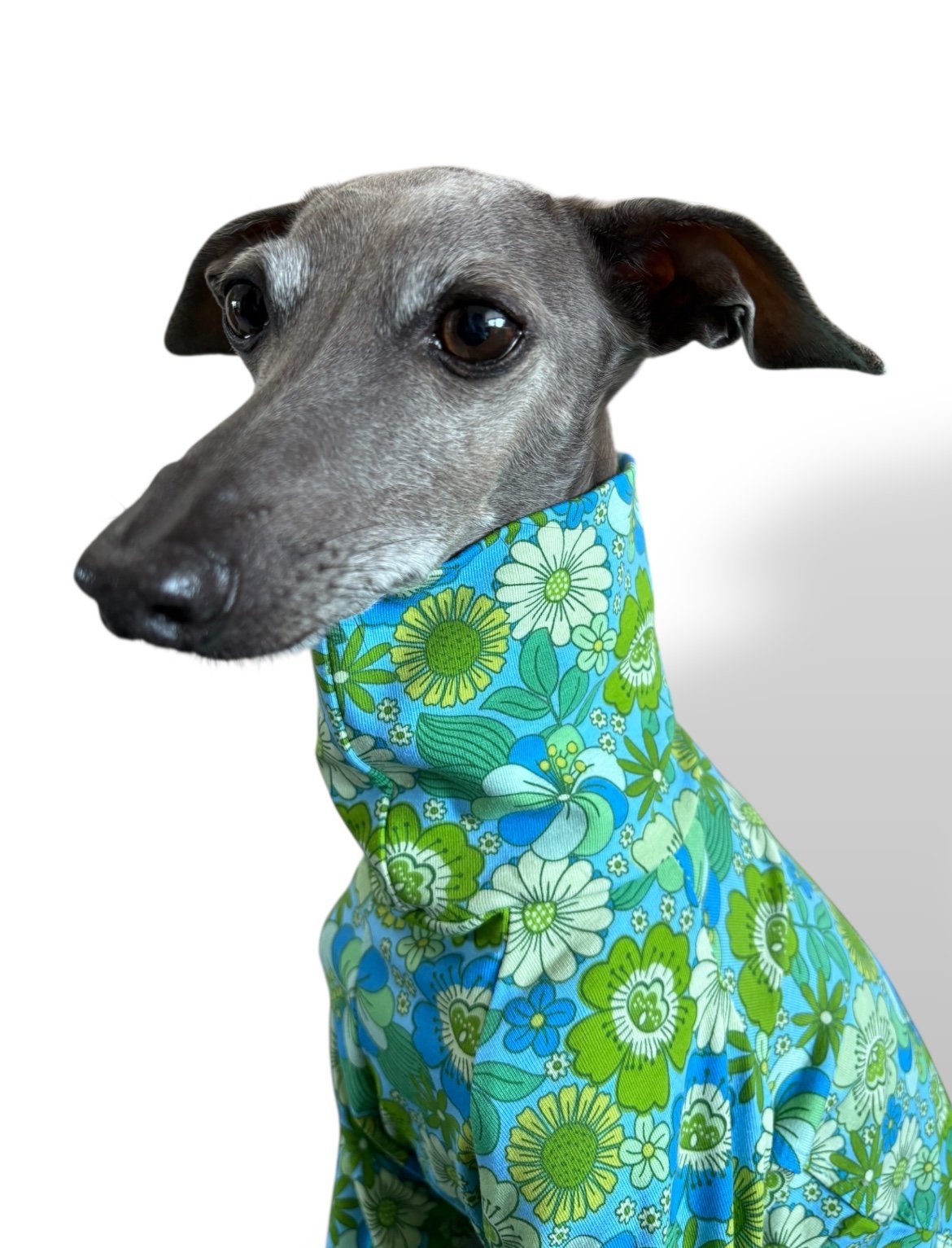 Jersey T-Shirt- Retro Floral - Green - Pet Supplier Store