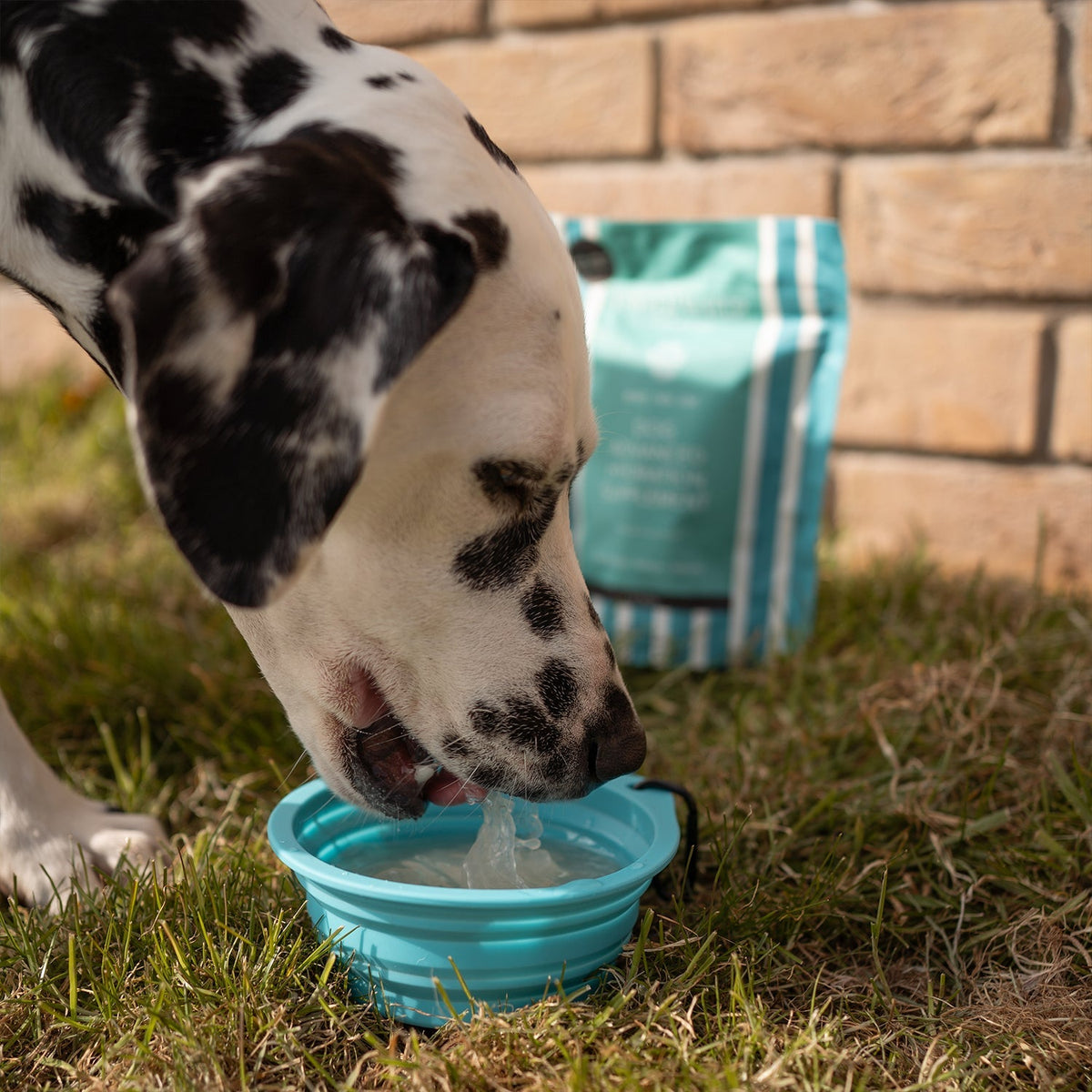 Joint Boost Set - Pet Supplier Store
