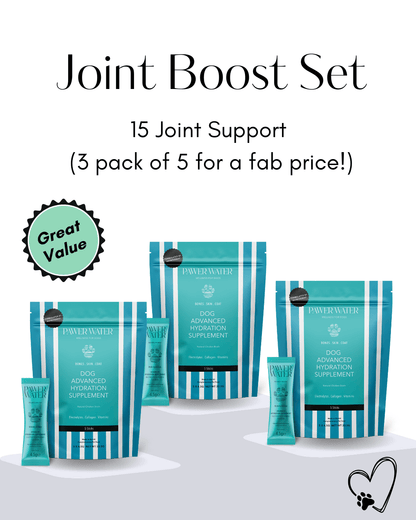 Joint Boost Set - Pet Supplier Store