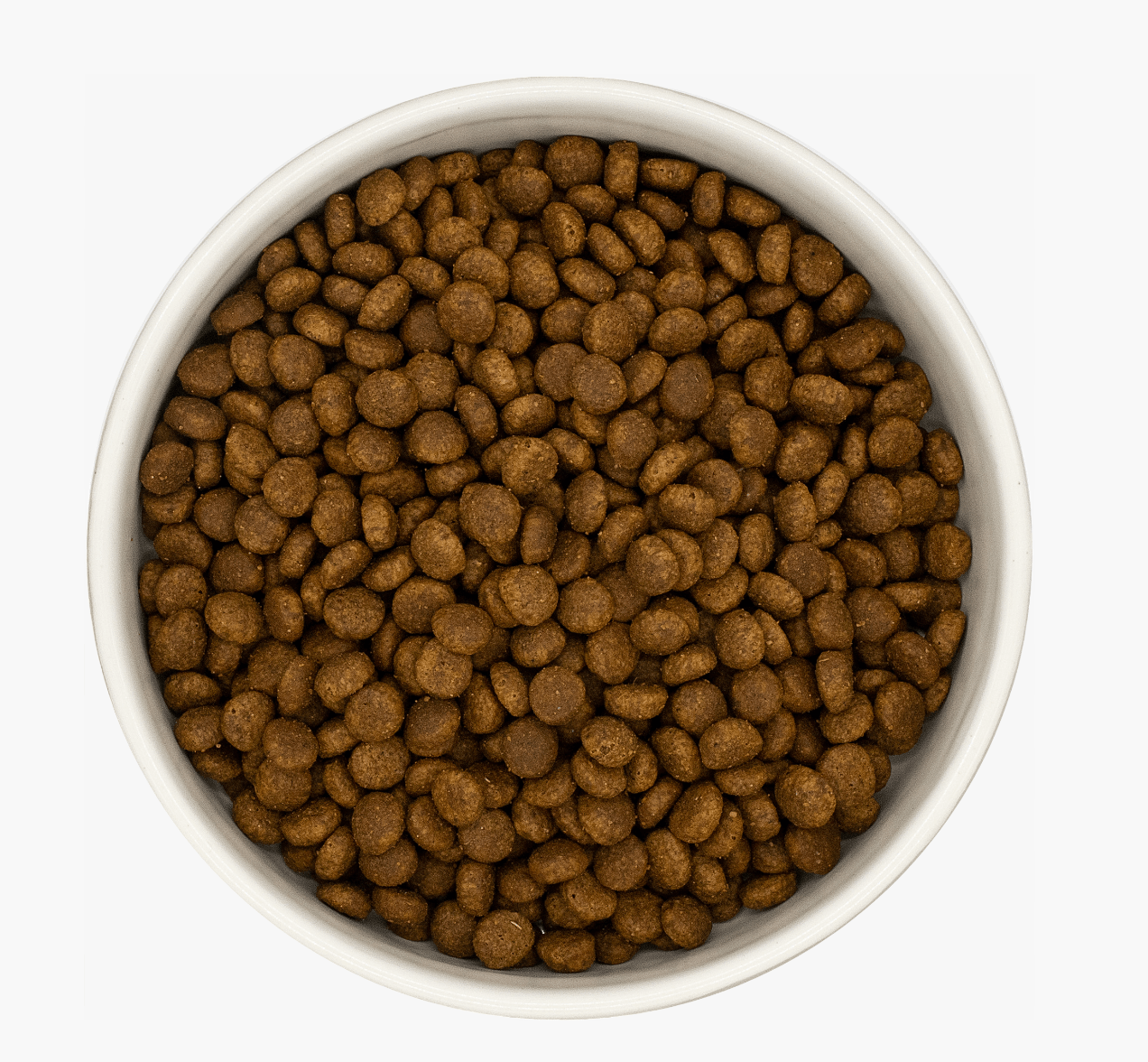 Kitten Turkey & Chicken - Pet Supplier Store
