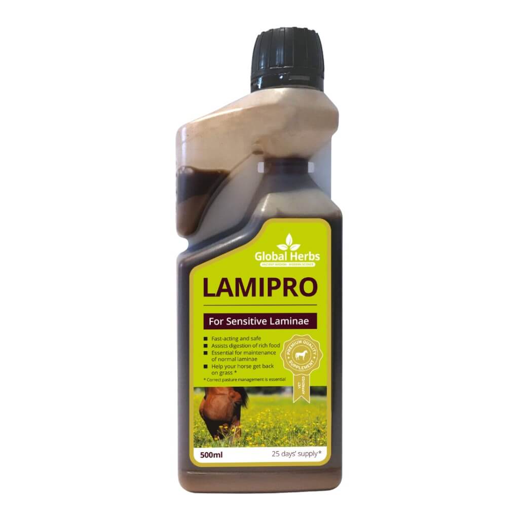 LamiPro liquid - Equine - Pet Supplier Store