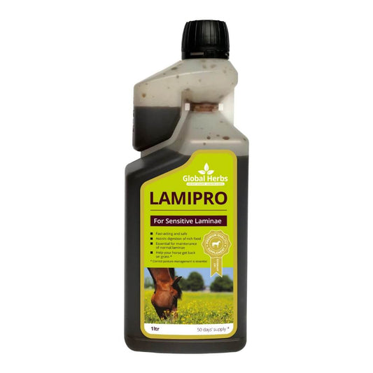 LamiPro liquid - Equine - Pet Supplier Store