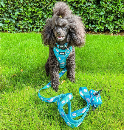 Lazy Sloth Puppy Harness – XXS Size for Tiny Breeds 🦥💚 - Pet Supplier Store