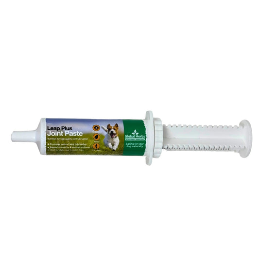 Leap Plus Joint paste 60ml - Global Herbs - Canine - Pet Supplier Store