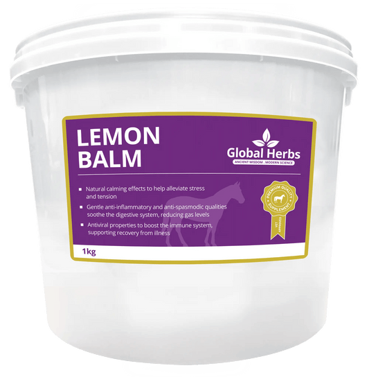 Lemon Balm - Global Herbs - Pet Supplier Store