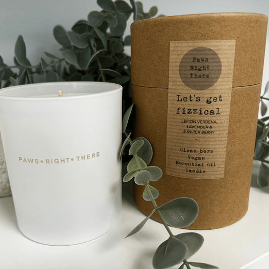 “Lets get Fizzical” - Clean Burn Essential Oil Candle - Pet Supplier Store
