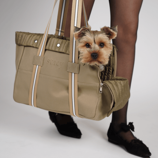 Lily Carrier Bag | Taupe - Pet Supplier Store