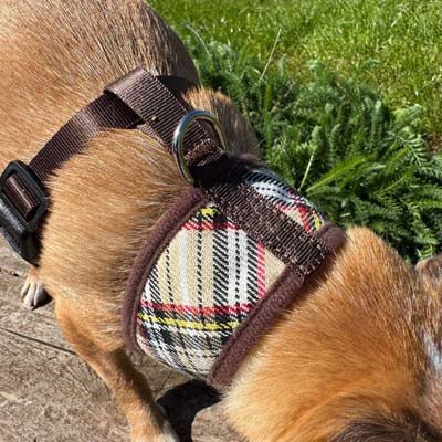 Luxury Brown Tartan Harness by My Pup and Me - Pet Supplier Store