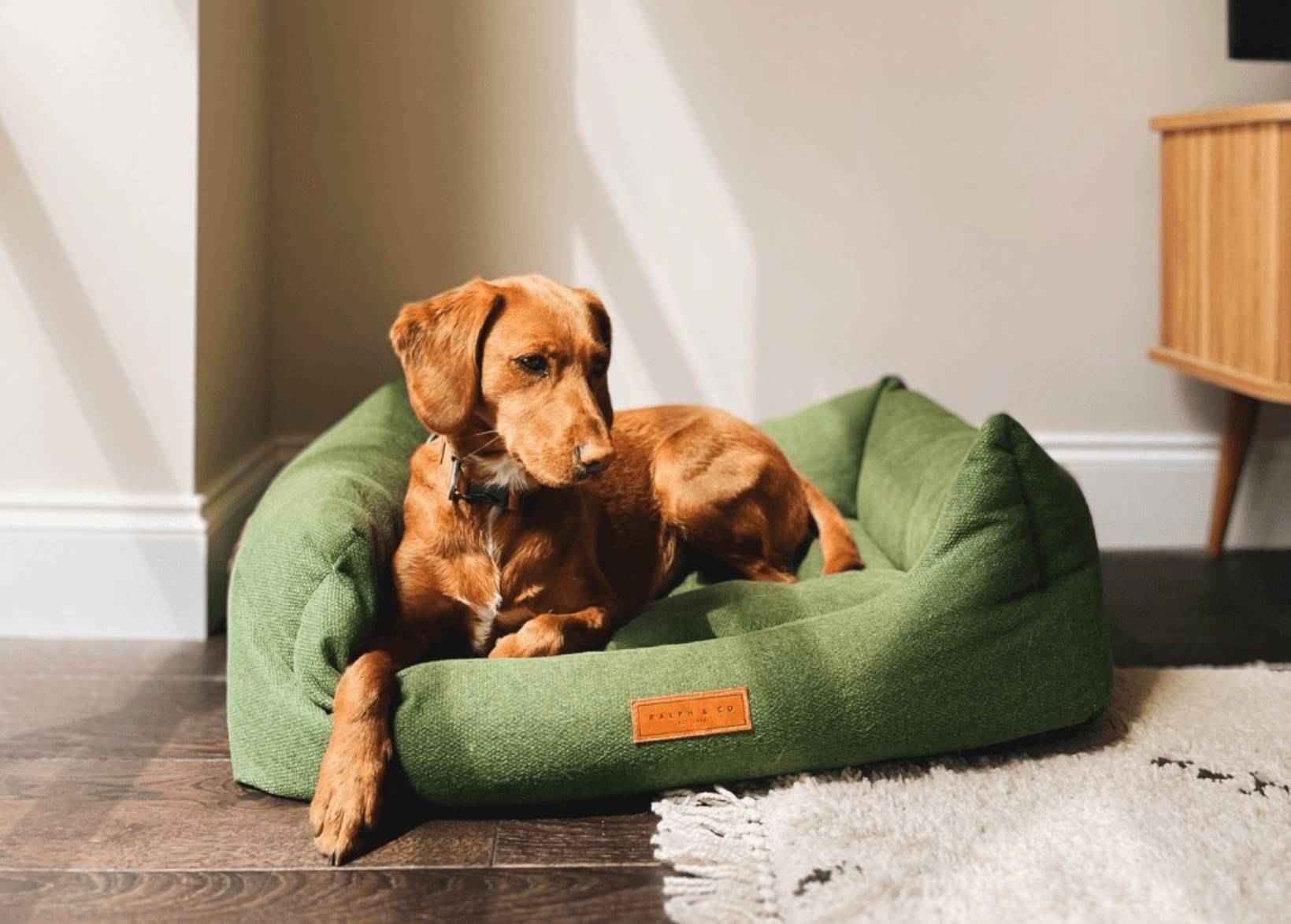 THE RICHMOND | LUXURY GREEN BED