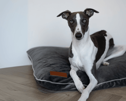 Luxury Memory Foam Crate Bed With Removable Covers | Grey - Pet Supplier Store