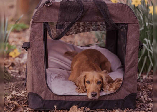 Luxury Memory Foam Crate Bed With Removable Covers | Pink - Pet Supplier Store