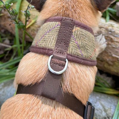 Luxury Tweed Harness by My Pup and Me - Pet Supplier Store
