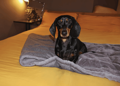 Luxury Washable Herringbone Dog Blanket | Balmoral - Pet Supplier Store