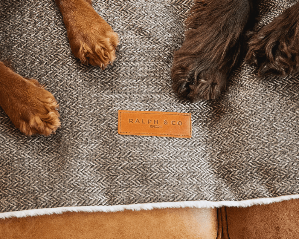 Luxury Washable Tweed Dog Blanket | Lincoln - Pet Supplier Store