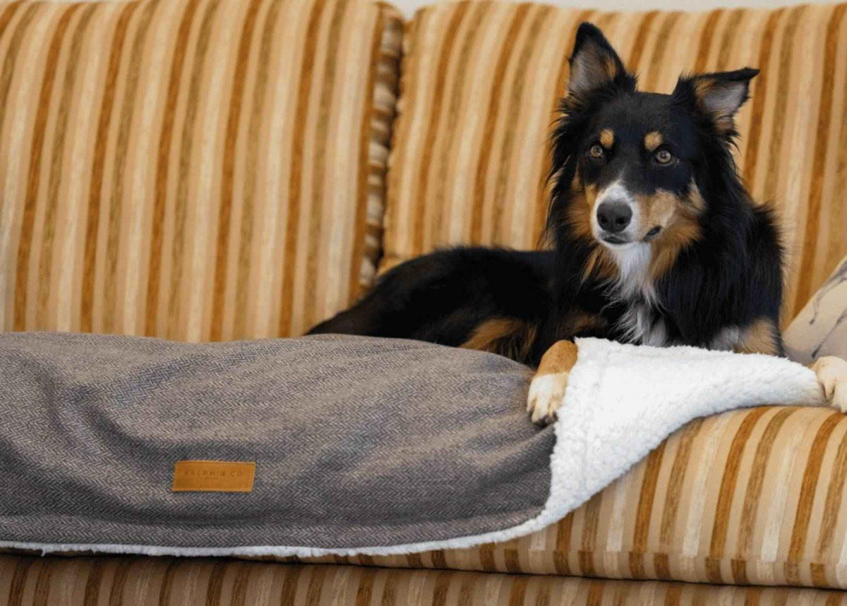 Luxury Washable Tweed Dog Blanket | Lincoln - Pet Supplier Store