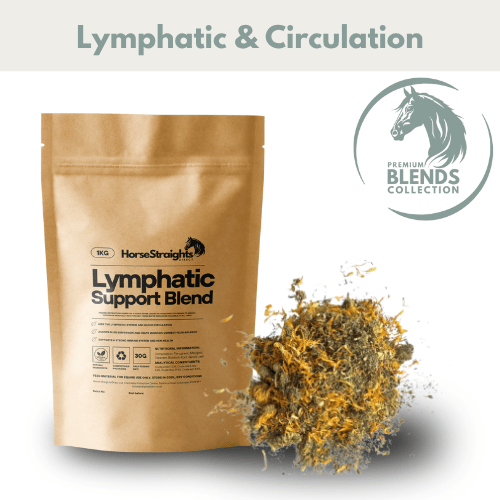 Lymphatic Support Blend - Pet Supplier Store