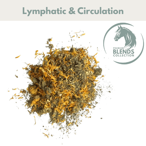 Lymphatic Support Blend - Pet Supplier Store