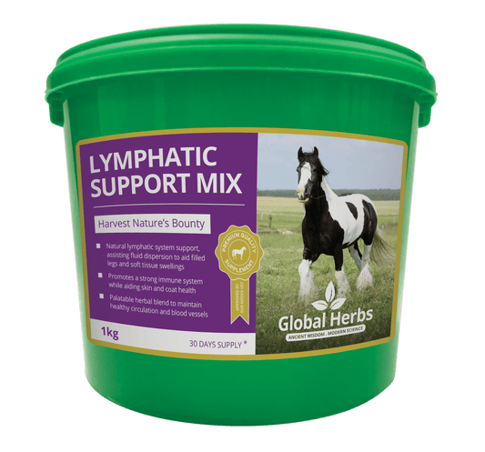 Lymphatic Support Mix - Global Herbs - Pet Supplier Store