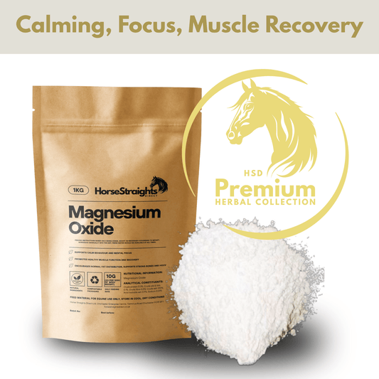 Magnesium Oxide Powder - Pet Supplier Store