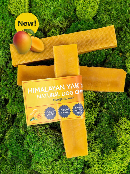 Mango Yak Dog Chew - Pet Supplier Store