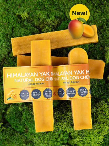 Mango Yak Dog Chew - Pet Supplier Store
