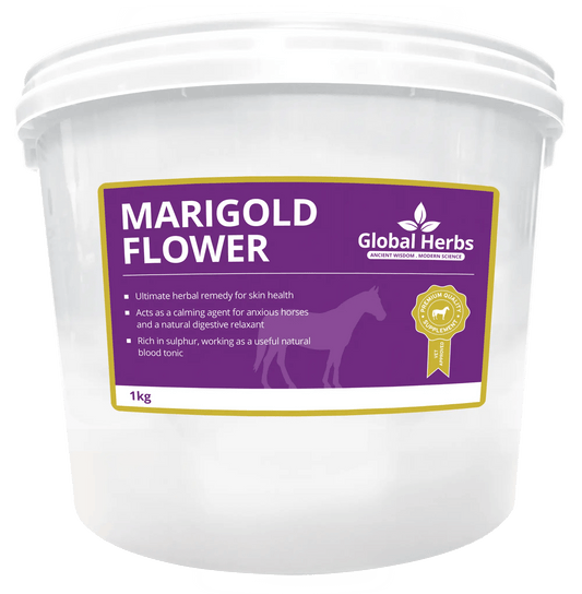 Marigold Flower - Global Herbs - Pet Supplier Store