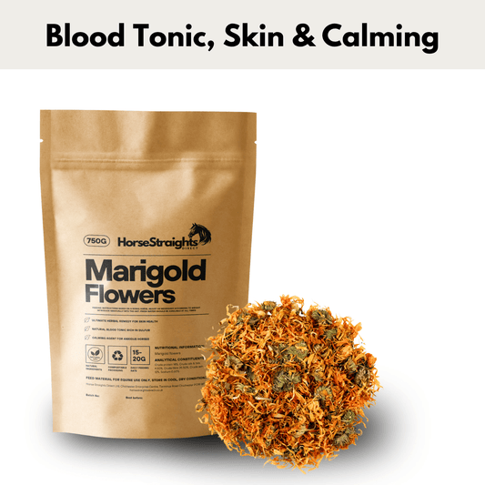 Marigold Flowers - Pet Supplier Store