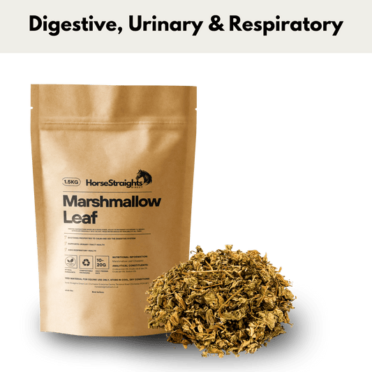 Marshmallow Leaf Chopped - Pet Supplier Store