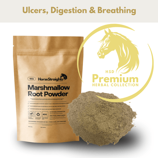 Marshmallow Root Powder - Pet Supplier Store