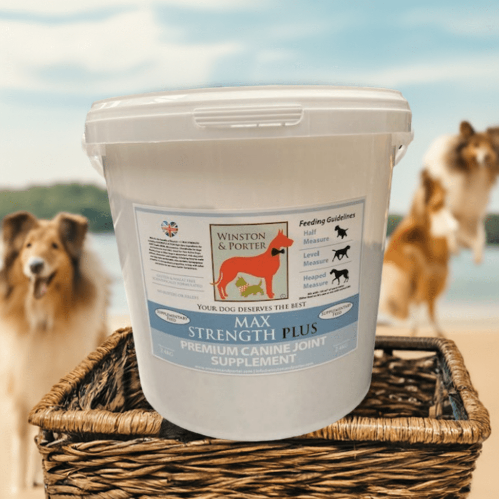 Max Strength Plus Premium Canine Joint Supplement From - Pet Supplier Store