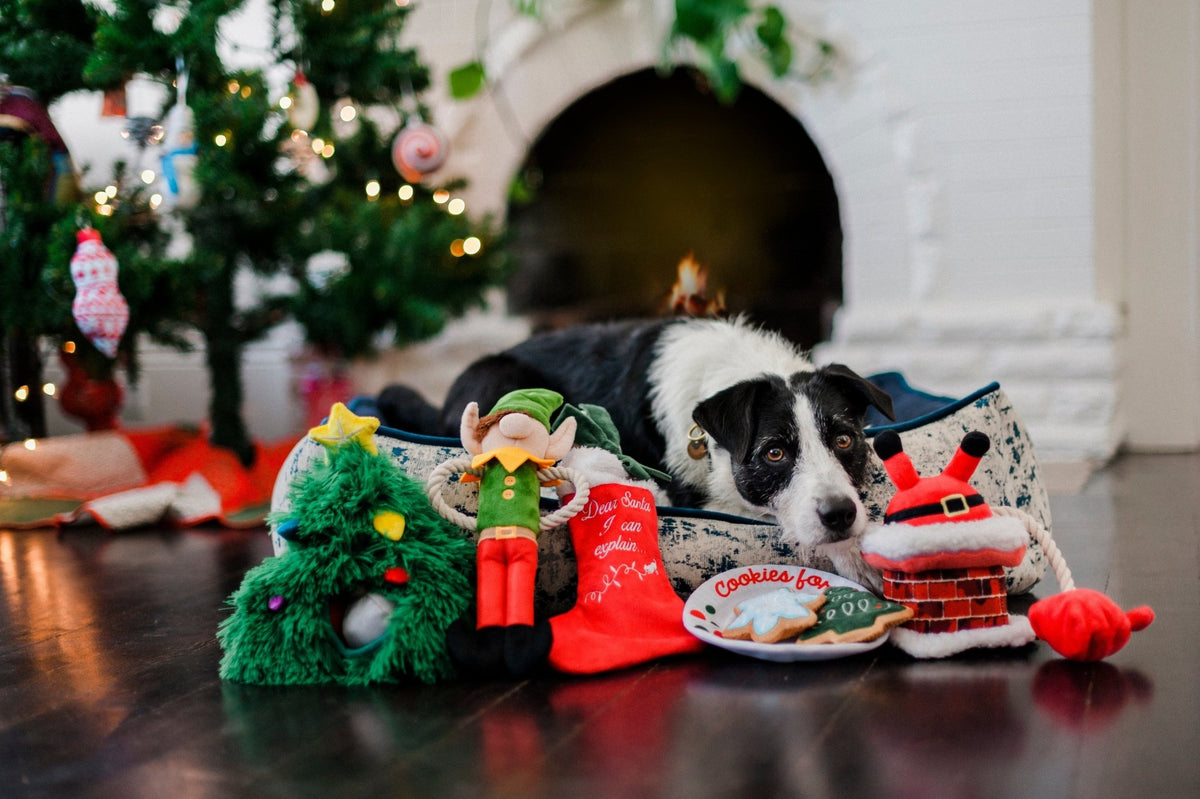 Merry Woofmas Good Dog Stocking & Bone 2 Piece Set - Pet Supplier Store