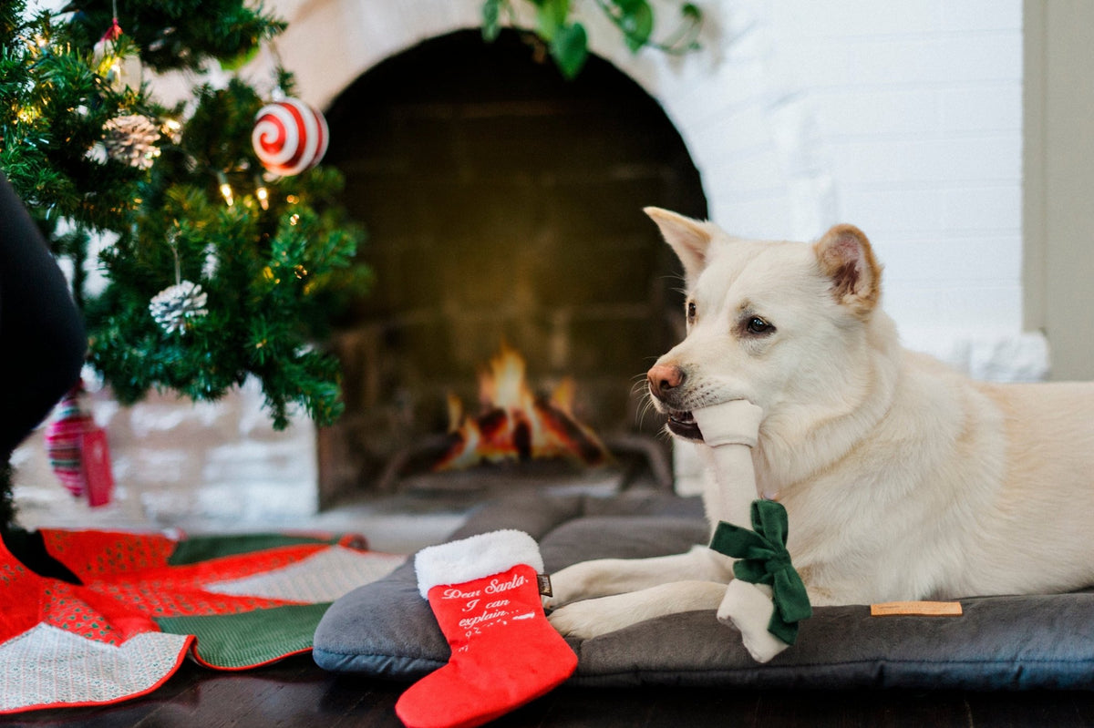 Merry Woofmas Good Dog Stocking & Bone 2 Piece Set - Pet Supplier Store