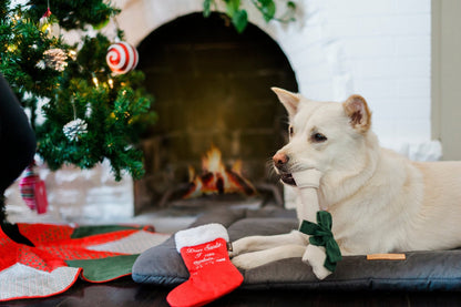 Merry Woofmas Good Dog Stocking & Bone 2 Piece Set - Pet Supplier Store