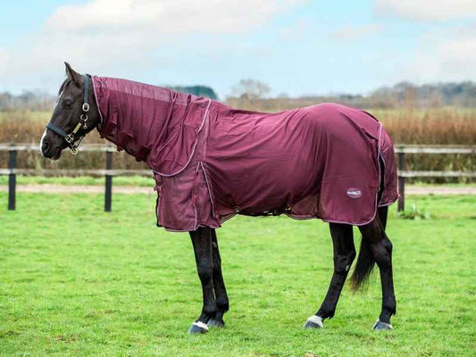 Mesh Fly Rug - Burgundy - Pet Supplier Store