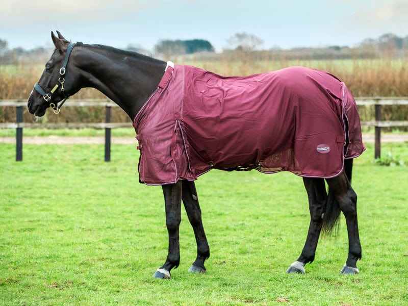 Mesh Fly Rug - Burgundy - Pet Supplier Store