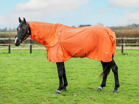 Mesh Fly Rug - Orange - Pet Supplier Store