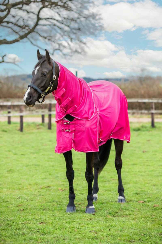 Mesh Fly Rug - Pink - Pet Supplier Store