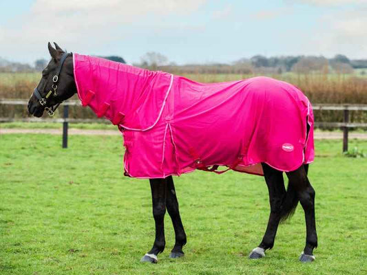 Mesh Fly Rug - Pink - Pet Supplier Store
