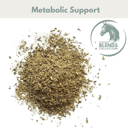 Metabolic Support blend - Pet Supplier Store