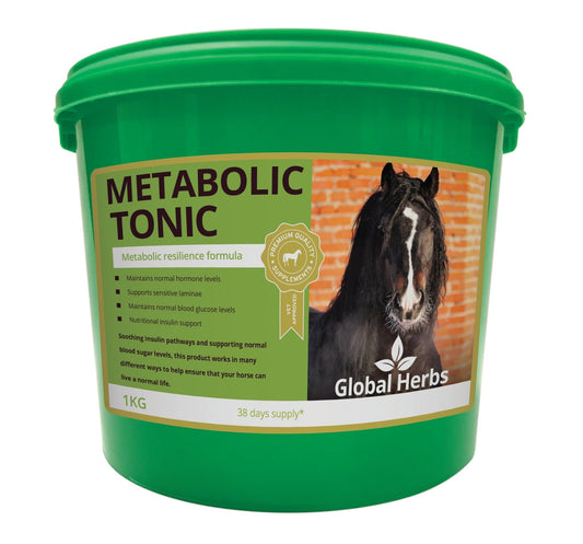 Metabolic Tonic 1kg - Global Herbs - Pet Supplier Store