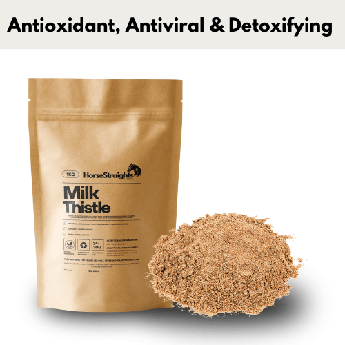 Milk Thistle Powder - Pet Supplier Store
