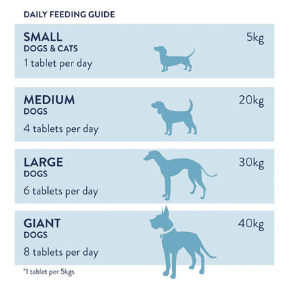 Dorwest Milk Thistle Tablets For Dogs & Cats – Natural Liver Support – 100 Tablets