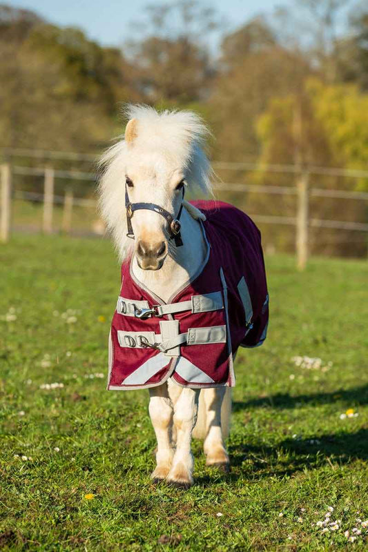 MINI 0g Turnout Rug - Burgundy - Pet Supplier Store