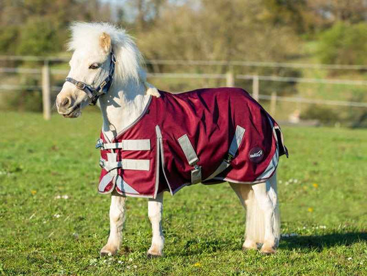 MINI 0g Turnout Rug - Burgundy - Pet Supplier Store
