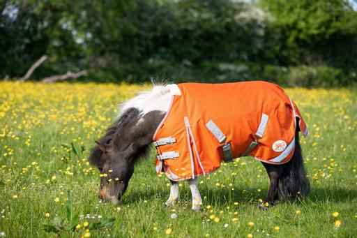 MINI 0g Turnout Rug - Orange - Pet Supplier Store