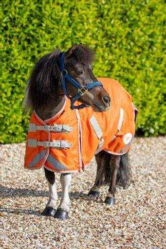 MINI 0g Turnout Rug - Orange - Pet Supplier Store