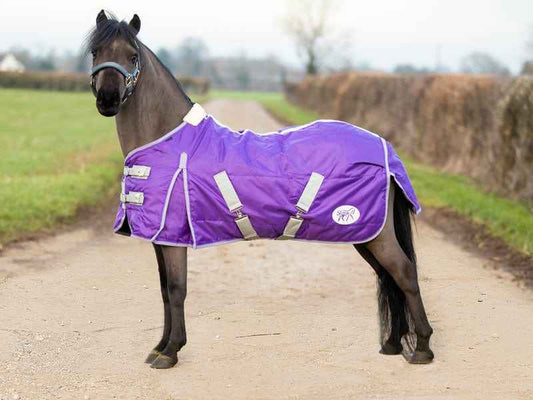 Mini 100g Stable Rug - Purple - Pet Supplier Store